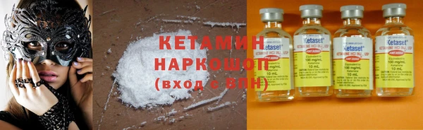 стаф Богданович
