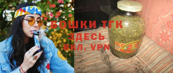 прущий лед Новозыбков