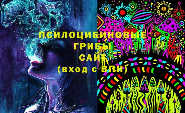 стаф Богданович