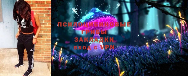 первитин Богородицк