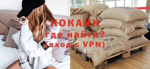 стаф Богданович