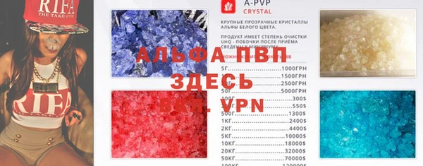 стаф Богданович