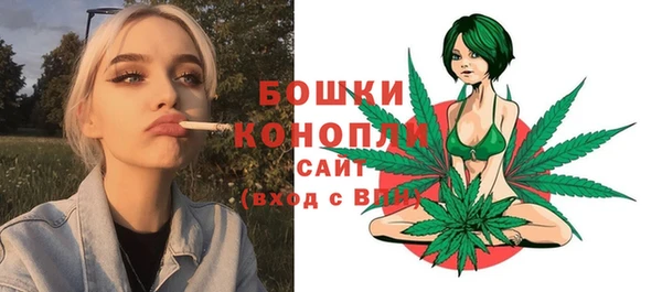 стаф Богданович
